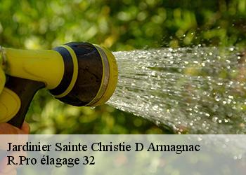 Jardinier sainte-christie-d-armagnac-32370 R.Pro élagage 32