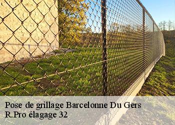 Pose de grillage barcelonne-du-gers-32720 R.Pro élagage 32