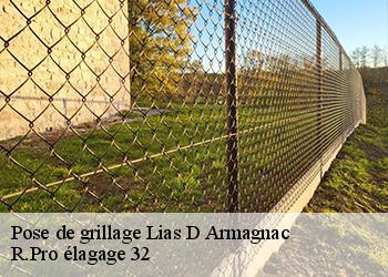 Pose de grillage  lias-d-armagnac-32240 R.Pro élagage 32