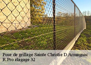 Pose de grillage sainte-christie-d-armagnac-32370 R.Pro élagage 32