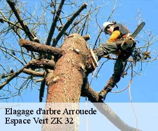 Elagage d'arbre  arrouede-32140 Espace Vert ZK 32