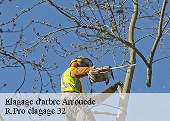 Elagage d'arbre  arrouede-32140 Espace Vert ZK 32