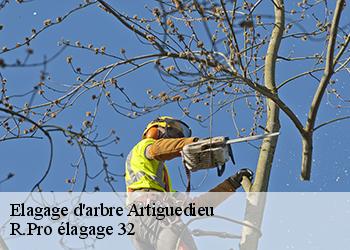 Elagage d'arbre  artiguedieu-32260 Espace Vert ZK 32