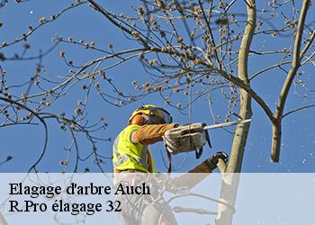 Elagage d'arbre  auch-32000 Espace Vert ZK 32