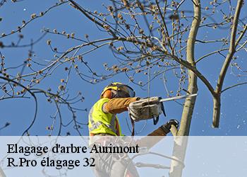 Elagage d'arbre  aurimont-32450 Espace Vert ZK 32