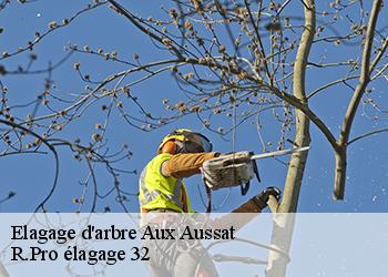 Elagage d'arbre  aux-aussat-32170 Espace Vert ZK 32