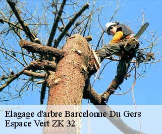Elagage d'arbre  barcelonne-du-gers-32720 Espace Vert ZK 32