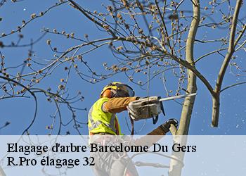 Elagage d'arbre barcelonne-du-gers-32720 R.Pro élagage 32