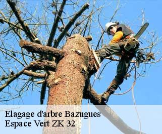 Elagage d'arbre  bazugues-32170 Espace Vert ZK 32