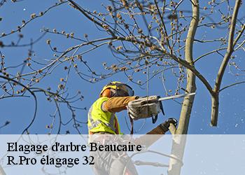 Elagage d'arbre  beaucaire-32410 Espace Vert ZK 32