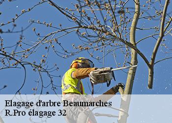 Elagage d'arbre  beaumarches-32160 Espace Vert ZK 32