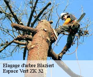Elagage d'arbre  blaziert-32100 Espace Vert ZK 32