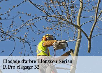 Elagage d'arbre  blousson-serian-32230 Espace Vert ZK 32