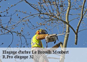 Elagage d'arbre  le-brouilh-monbert-32350 Espace Vert ZK 32