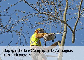 Elagage d'arbre  campagne-d-armagnac-32800 Espace Vert ZK 32