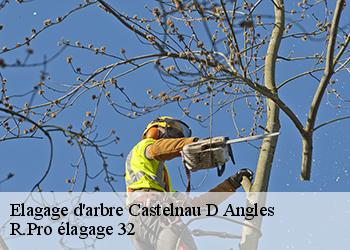 Elagage d'arbre  castelnau-d-angles-32320 Espace Vert ZK 32