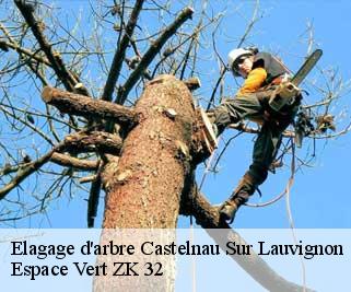 Elagage d'arbre  castelnau-sur-lauvignon-32100 Espace Vert ZK 32