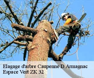 Elagage d'arbre  caupenne-d-armagnac-32110 Espace Vert ZK 32