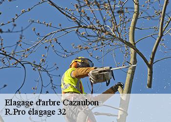 Elagage d'arbre cazaubon-32150 R.Pro élagage 32