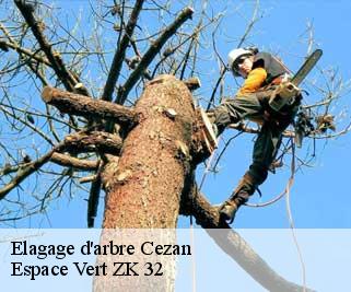 Elagage d'arbre  cezan-32410 Espace Vert ZK 32