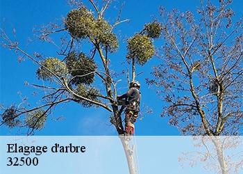 Elagage d'arbre  32500