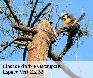 Elagage d'arbre  gazaupouy-32480 Espace Vert ZK 32