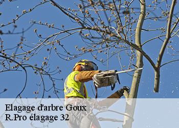 Elagage d'arbre  goux-32400 Espace Vert ZK 32