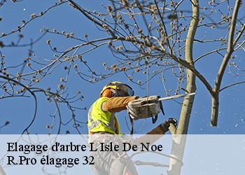 Elagage d'arbre l-isle-de-noe-32300 R.Pro élagage 32