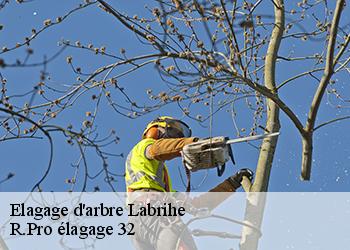 Elagage d'arbre labrihe-32120 R.Pro élagage 32