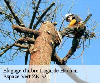 Elagage d'arbre  lagarde-hachan-32300 Espace Vert ZK 32