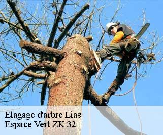 Elagage d'arbre  lias-32600 Espace Vert ZK 32