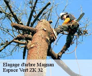 Elagage d'arbre  magnan-32110 Espace Vert ZK 32