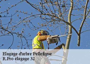 Elagage d'arbre  pellefigue-32420 Espace Vert ZK 32