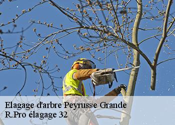 Elagage d'arbre  peyrusse-grande-32320 Espace Vert ZK 32