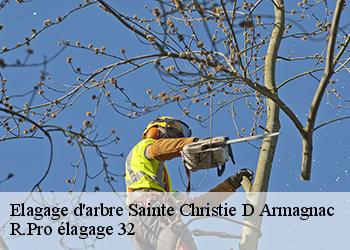Elagage d'arbre sainte-christie-d-armagnac-32370 Espace Vert ZK 32