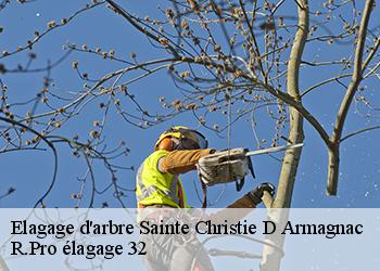 Elagage d'arbre  sainte-christie-d-armagnac-32370 Espace Vert ZK 32