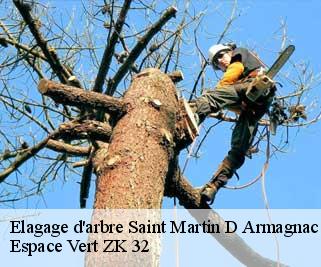 Elagage d'arbre  saint-martin-d-armagnac-32110 Espace Vert ZK 32