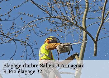 Elagage d'arbre  salles-d-armagnac-32370 Espace Vert ZK 32