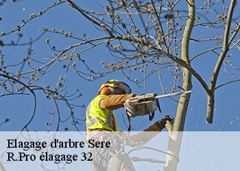 Elagage d'arbre sere-32140 R.Pro élagage 32