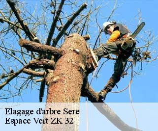 Elagage d'arbre  sere-32140 Espace Vert ZK 32