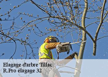 Elagage d'arbre  tillac-32170 Espace Vert ZK 32