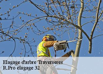Elagage d'arbre traverseres-32450 Espace Vert ZK 32