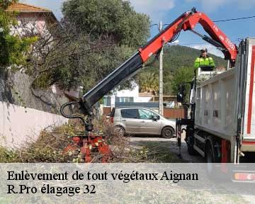 Enlèvement de tout végétaux aignan-32290 R.Pro élagage 32