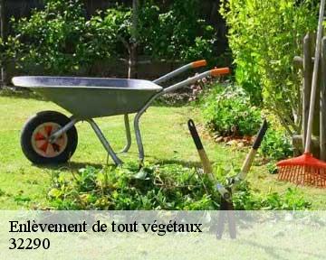Enlèvement de tout végétaux 32290