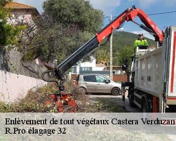 Enlèvement de tout végétaux castera-verduzan-32410 R.Pro élagage 32