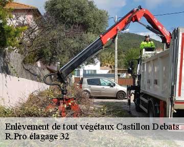 Enlèvement de tout végétaux castillon-debats-32190 R.Pro élagage 32