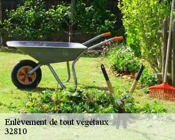 Enlèvement de tout végétaux 32810