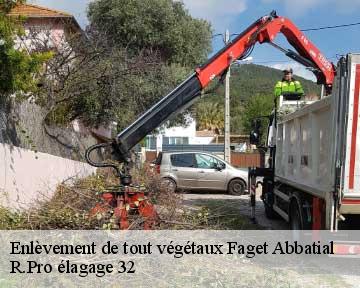 Enlèvement de tout végétaux faget-abbatial-32450 R.Pro élagage 32
