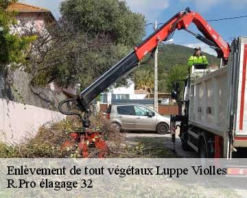 Enlèvement de tout végétaux luppe-violles-32110 R.Pro élagage 32