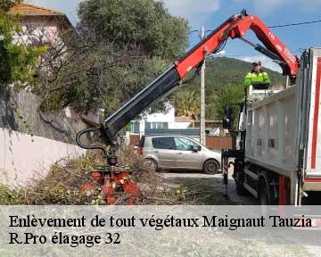 Enlèvement de tout végétaux maignaut-tauzia-32310 R.Pro élagage 32